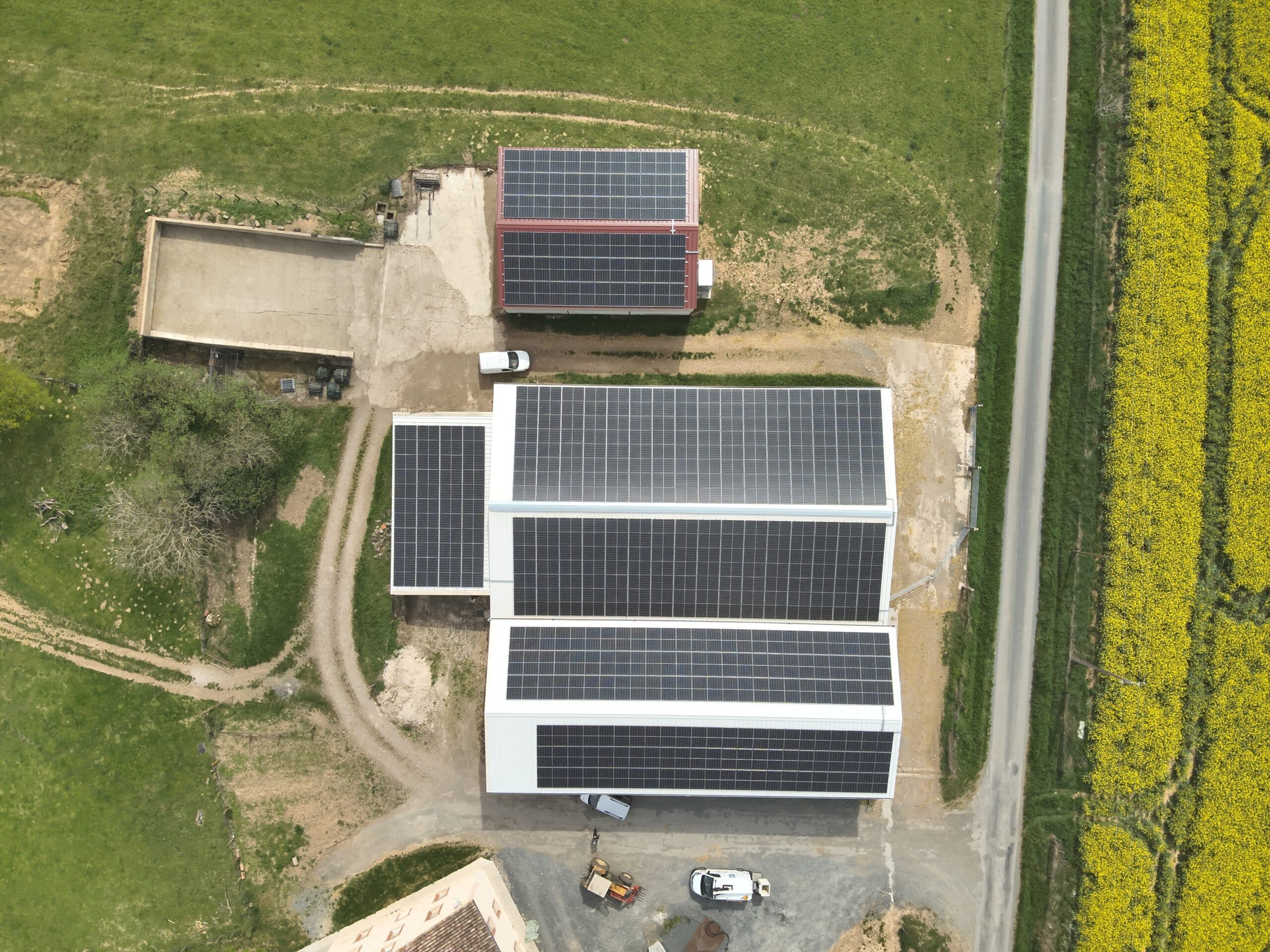Vue aérienne d'une ferme avec de grands panneaux solaires sur les toits de hangars, bordée par un champ de colza jaune et une route.