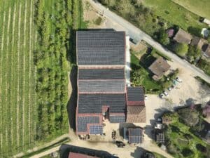 Vue aérienne d'un bâtiment agricole ou industriel avec de larges toitures couvertes de panneaux solaires, jouxtant un vignoble en rangées et une zone résidentielle.